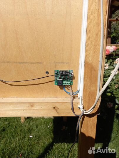 Разведение перепелов