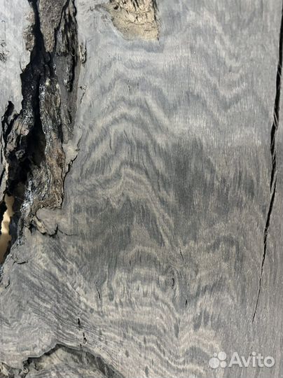 Слэбы из мореного дуба