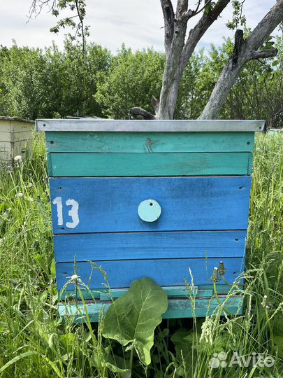 Ульи для пчел