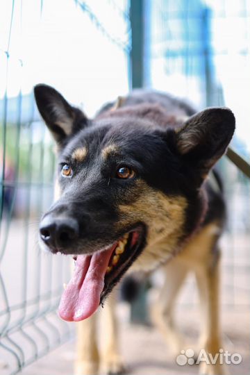 Ричард, почему его никто не замечает, он умничка