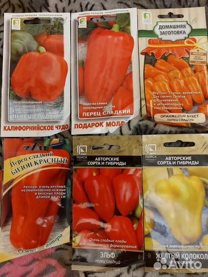 Рассада перца