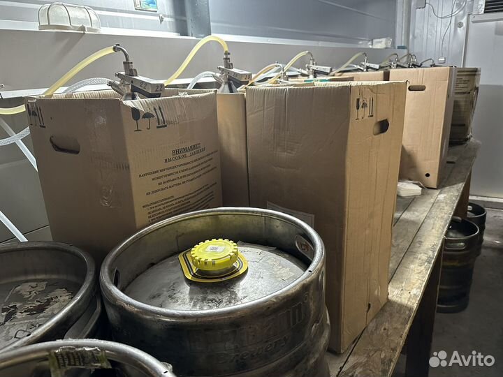 Продам готовый бизнес Магазин разливных напитков