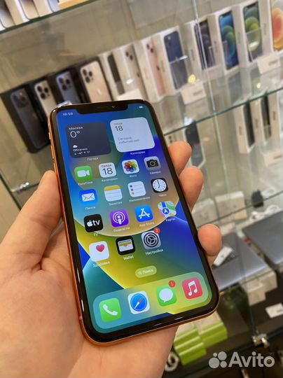 iPhone Xr, 128 ГБ