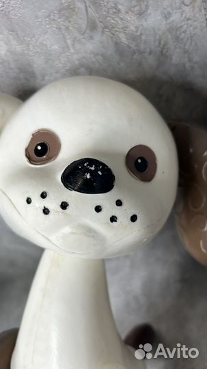 Собака охтален редкая