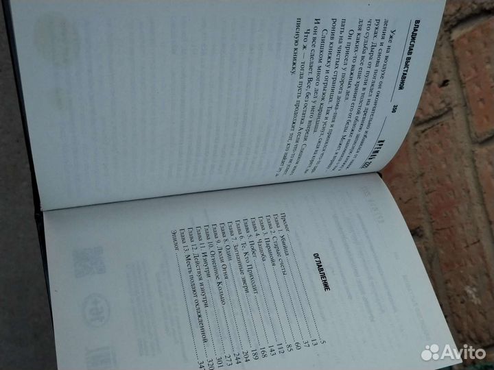 Силлов Дмитрий (Кремль 2222), Сталкер