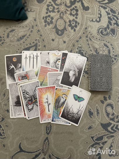 Колода таро The wild unknown tarot