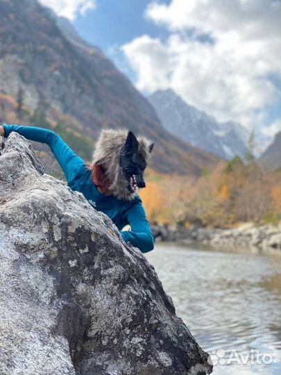 Маска волка костюм волка