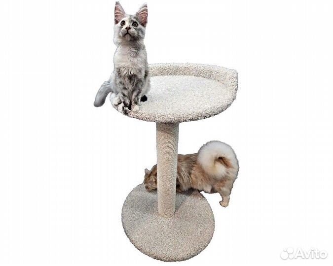 Когтеточка с лежанкой для крупных кошек с хлопк