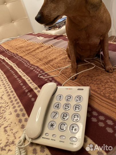 Стационарный телефон для слабовидящих