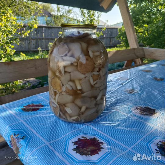 Грибы маслята маринованные