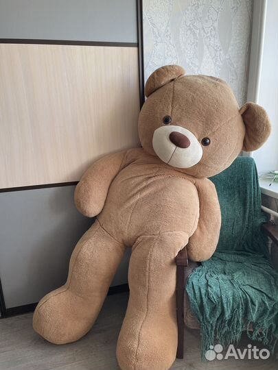 Гигантский плюшевый медведь