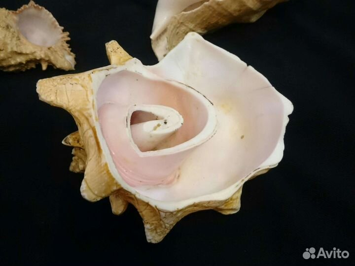 Принадлежности для аквариума