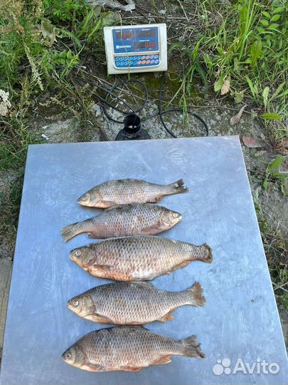 Продукты оптом