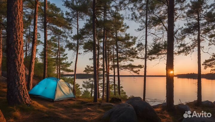 Администратор пункта проката, кемпинга