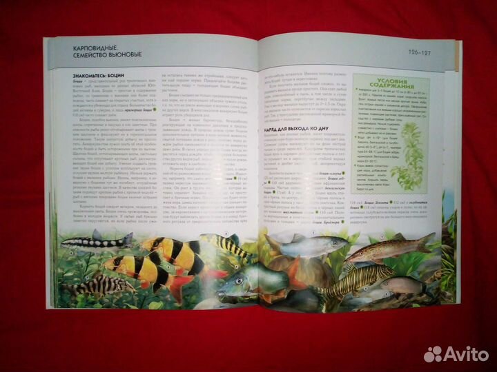 Комплект детских энциклопедий (Цена за все)