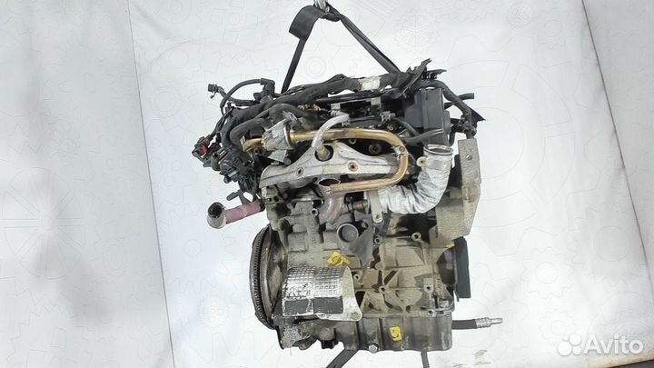 Двигатель BVY Volkswagen Golf 5 2.0