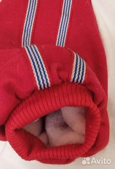 Шлейка для собак и кошек. Куртка клубная для собак