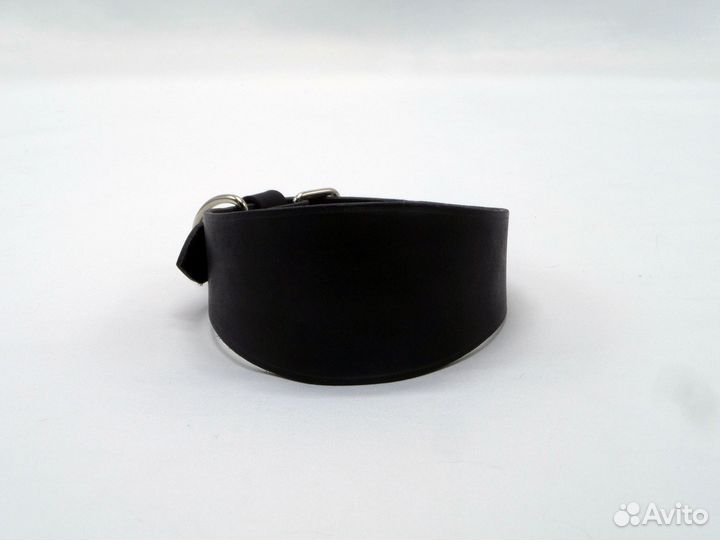 Ошейник селедка для собак