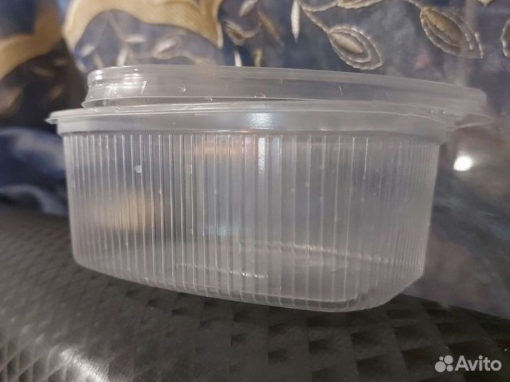 Контейнер пластиковый бу