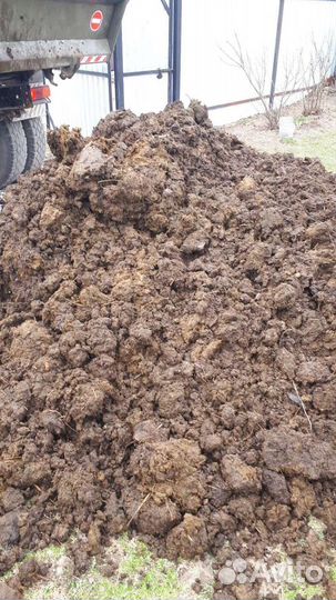 Навоз коровий машина камаз