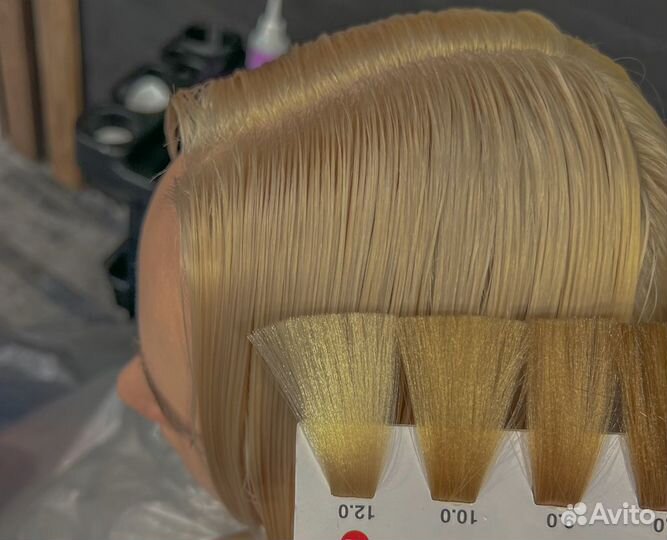 Модель на окрашивание и стрижку