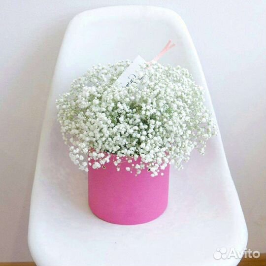 Букет из гипсофилы