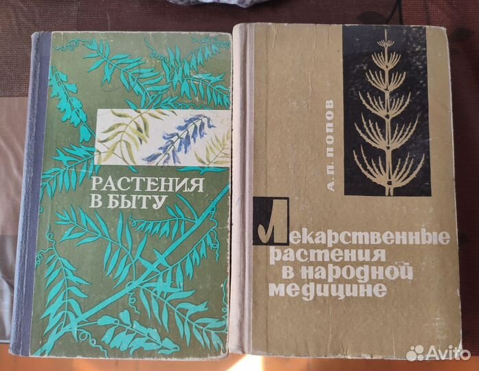 Книга растения в быту растения в народной медицине