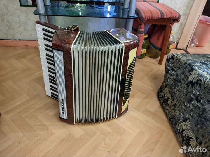 Аккордеон Восход