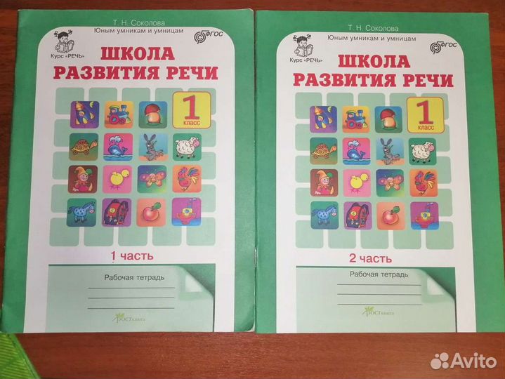 Рабочие тетради Школа развития речи 1кл