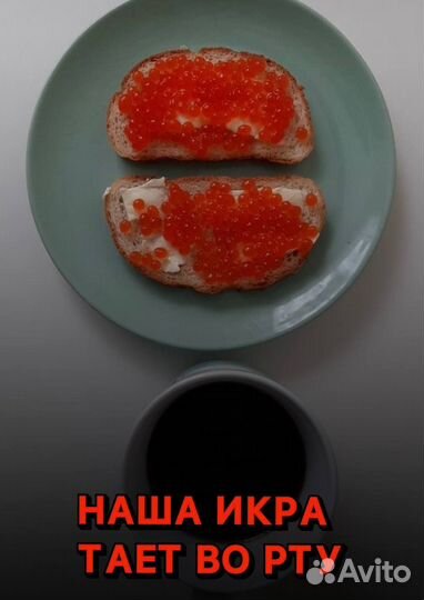 Красная икра оптом. Доставка по РФ