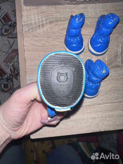 Обувь для собак