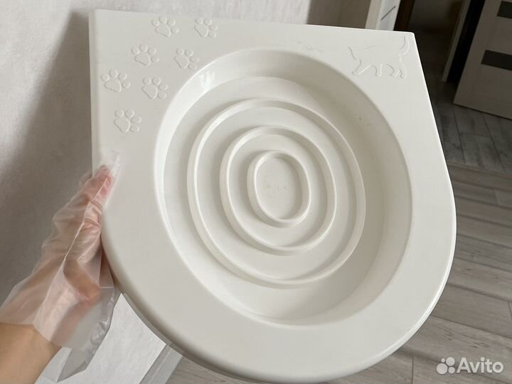 Приучение к унитазу кошек