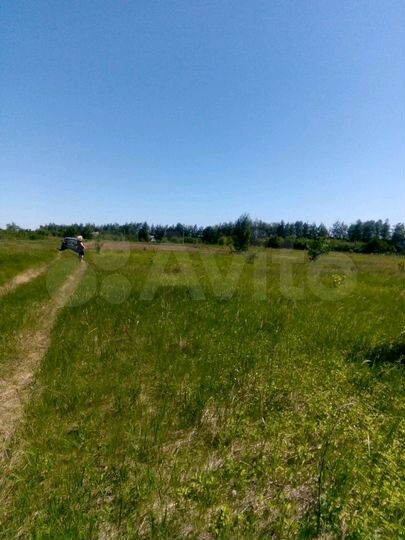 Участок 9 сот. (СНТ, ДНП)
