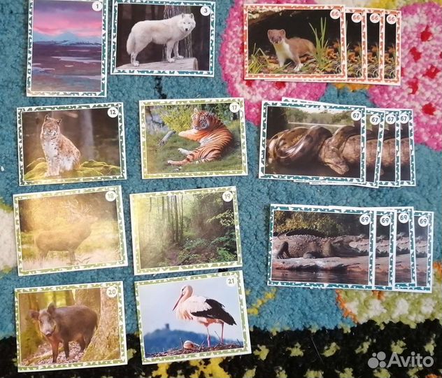 Наклейки монетка Живая природа