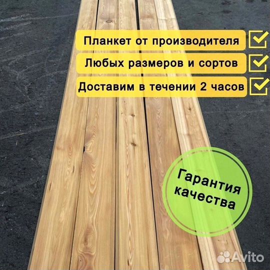 Планкен прямой лиственница