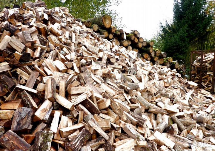 Дрова в СПБ
