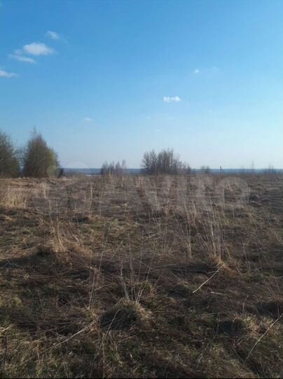 Участок 2,5 га (СНТ, ДНП)