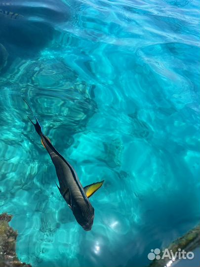 Чехол для телефона, чехол для подводной сьемки