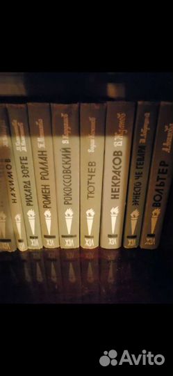 Книги серии жзл