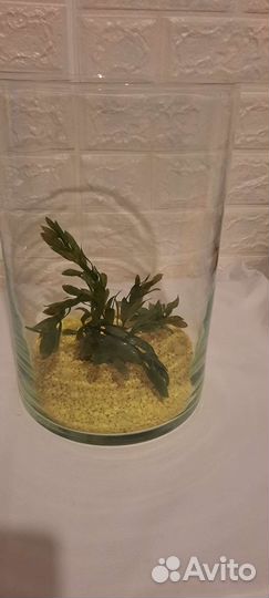 Мини аквариум