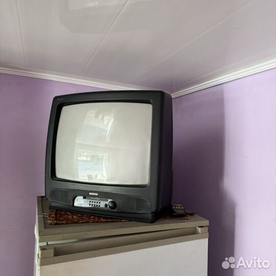 Телевизор витязь