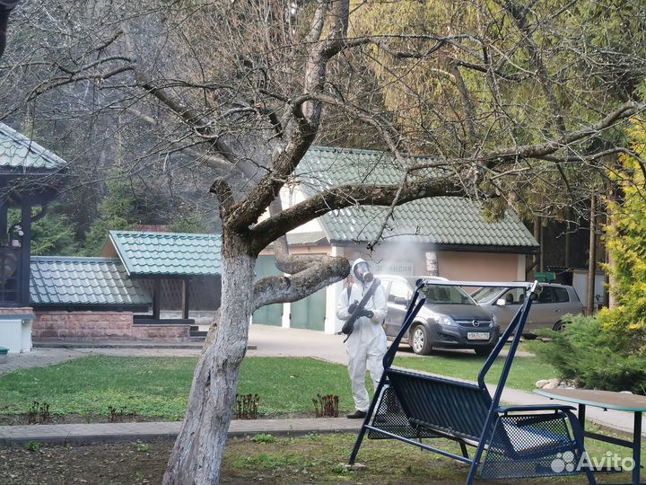 Обработка от всех видов вредителей