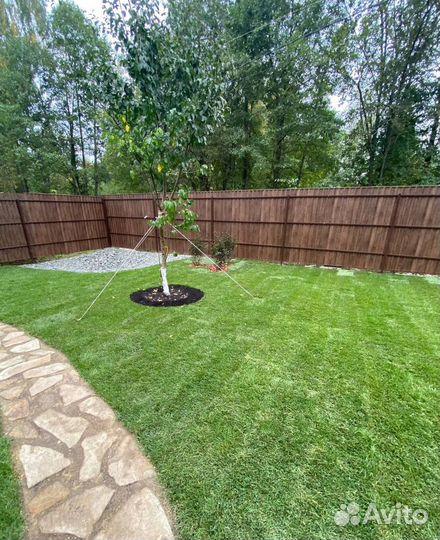 Рулонный газон