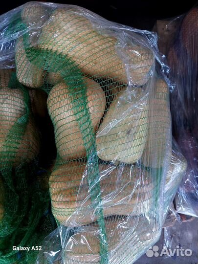 Овощи оптом