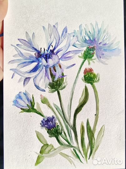 Рисунок акварель