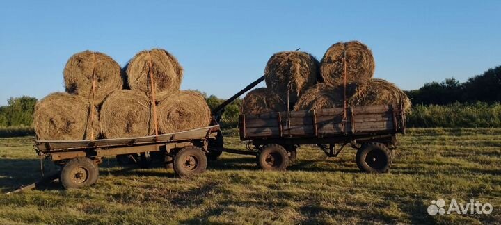 Сено в тюках