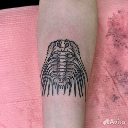 Татуировки за расходники (не ученик )