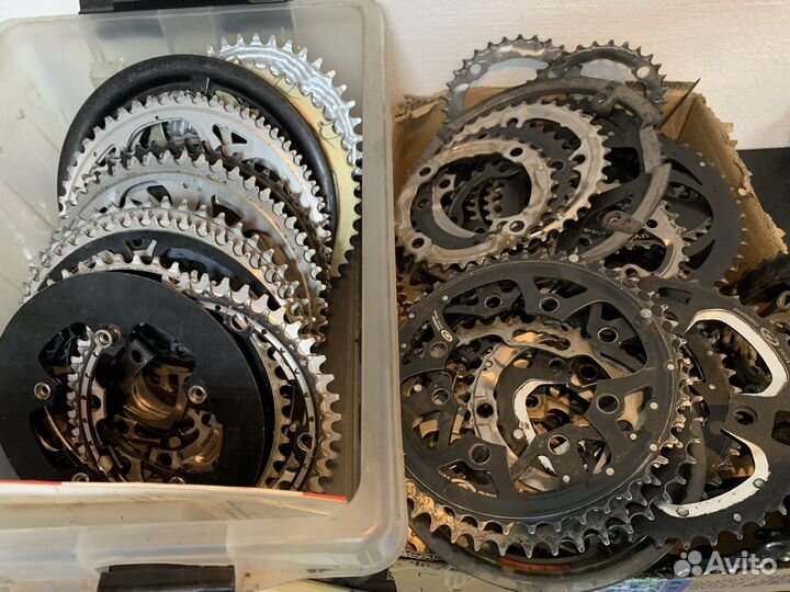 Звезды разные