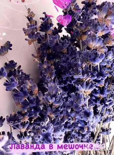 Лаванда в мешочкн