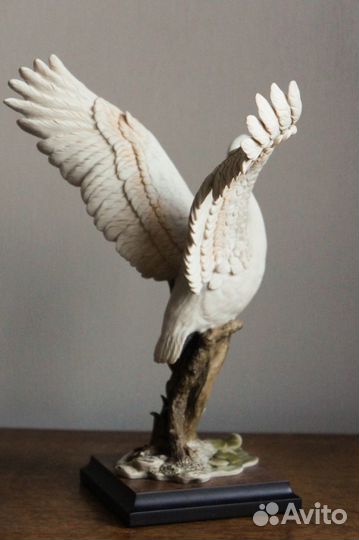 Джузеппе Армани Парящий лебедь Каподимонте Флоренс